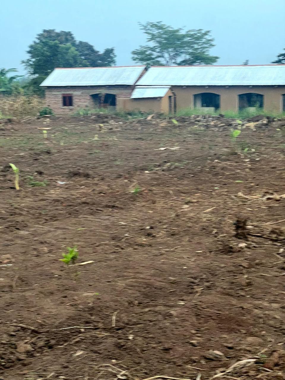 houses hoima