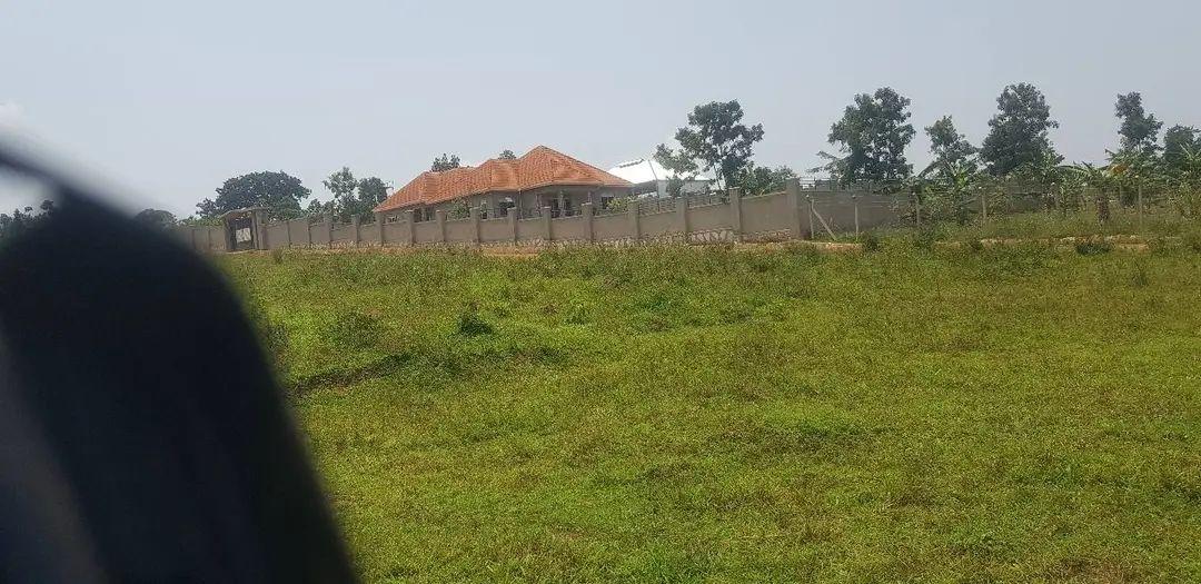 mailo land