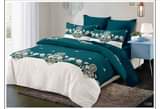 A picture of 4 PIECE DUVET