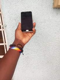 A picture of VIVO