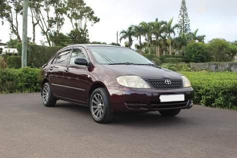 used toyota corolla