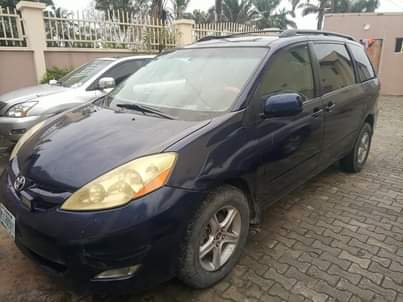A picture of 06 Sienna