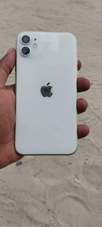 A picture of Iphone 11 plain