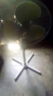 A picture of Feni