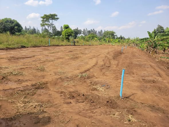 A picture of PLOTS IN KAKIRI GOBERO
