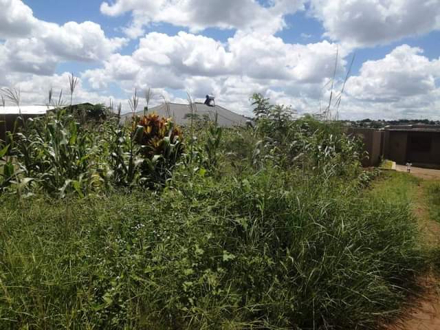 land
