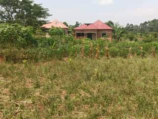 A picture of Plots for sale