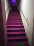 A picture of Woolen carpets per square meter 30k and we do installation