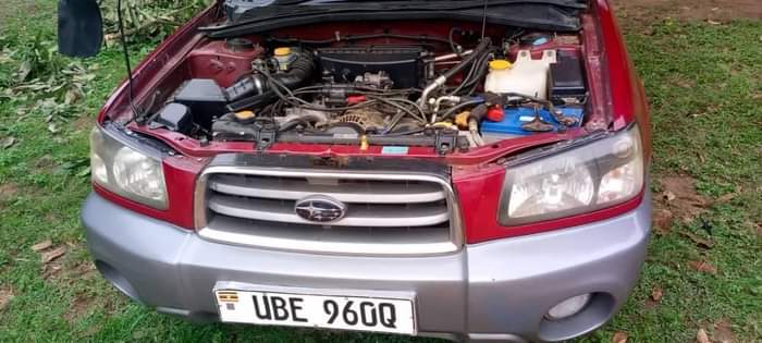 A picture of SUBARU FORESTER