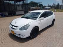 A picture of Caldina new model