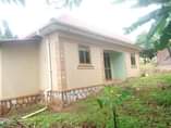 A picture of Newly built house for sale at Buddo