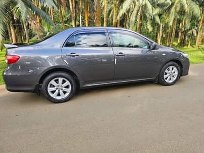 used toyota corolla