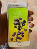 A picture of iPhone 7