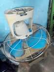 A picture of NAUZA FENI 0786494436