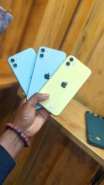 A picture of iPhone 11 plain