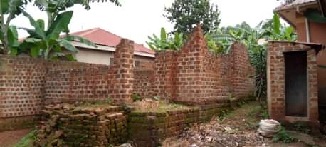 A picture of Nansana naluvule
