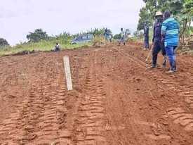 A picture of MAZIMA BISOBOKA get your own plot to day New site