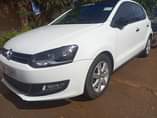 A picture of Polo