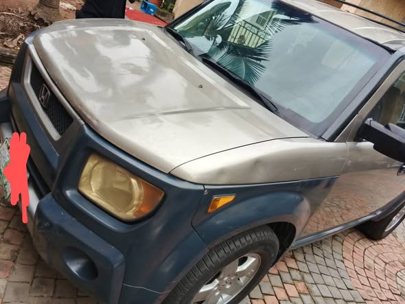 A picture of Clean use Honda element in a good condition everything working