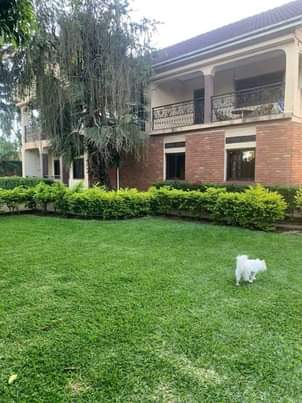 A picture of Nine bedroom mansion for rent in luzira Kampala Uganda at