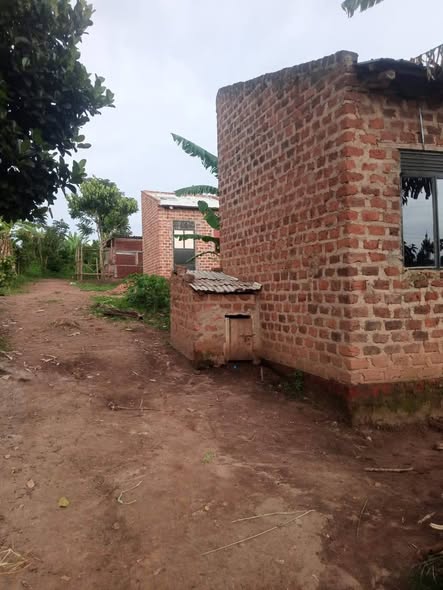 A picture of Simple ka House on sale 7 5millions At matugga kitungwa