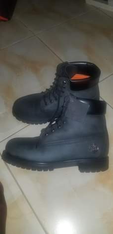 timberland