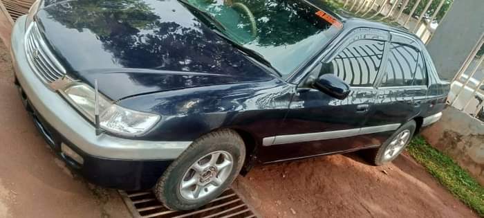 A picture of Priremo 6million call me on 256751331103 or what up number