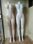 A picture of Dummies on sell