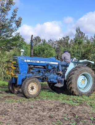 A picture of 1982 Ford Ford 5000