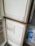 A picture of Friji linauzwa