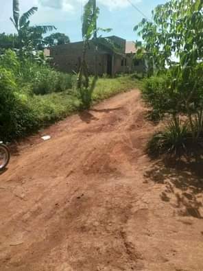 A picture of ANTI MR PROPERTY MANAGEMENT PLOTS FOR SALE ON BUSUBUZI PRICE