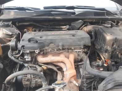A picture of First body 06 model Has very small top sound Going