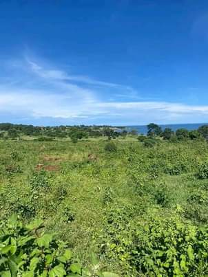 A picture of Land for sell in kavumba