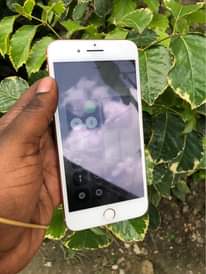 A picture of iPhone 8 Plus