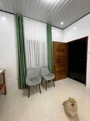 curtains