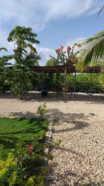 A picture of Sale apartments