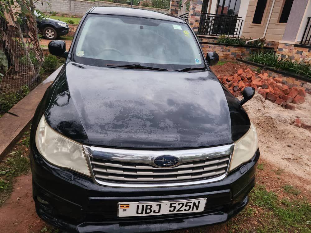 subaru forester
