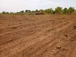 A picture of Matugga BAALE Commercial Plot Quick sale 5 5m 100by50ft 50by50ft