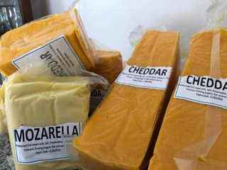 cheese