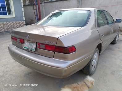 A picture of Tiny Light Everything Functions Price 1 5m Buyer Settles 70k