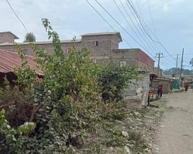 house kahawa