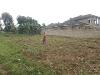 A picture of  40m Plot size 100by50ft with ready land title On