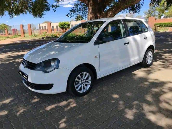 polo vivo