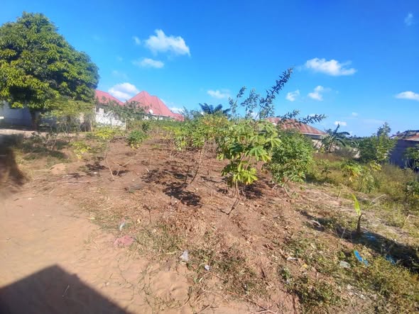 A picture of Kiwanja 1 Kwa 2