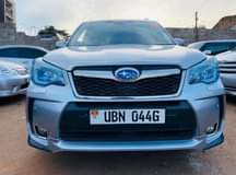 A picture of FORESTER XT 2014 58M