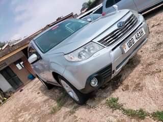 A picture of Subaru Forester 2008
