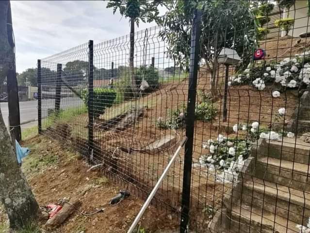 KZN A.