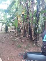 A picture of PLOTS IN RUBAGA DIVISION FROM 5M TO 25M 0701627821