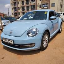 A picture of BEETLE 2015 40M