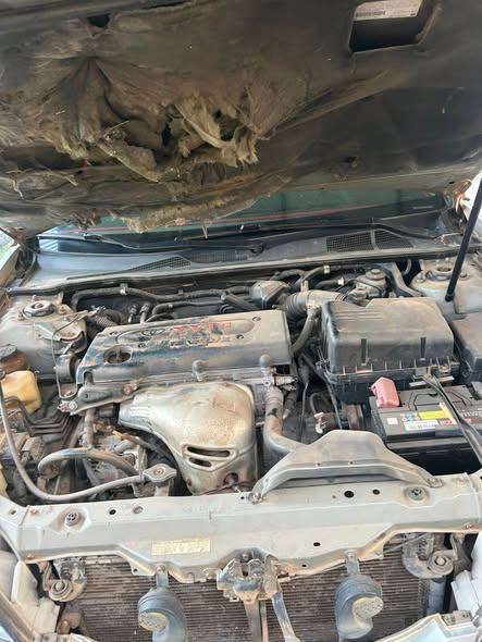 A picture of Toyota Camry 04 LE 09121638427